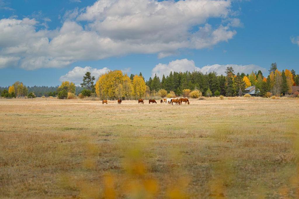 Coyote - Unit 9 Βίλα Sunriver Εξωτερικό φωτογραφία